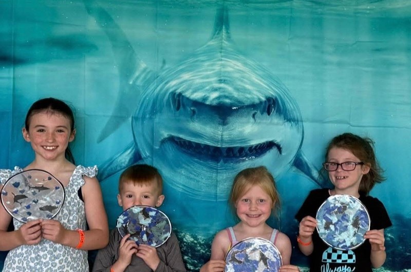 SHARK FRENZY WEEKEND Photo