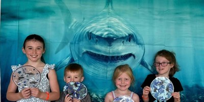 SHARK FRENZY WEEKEND