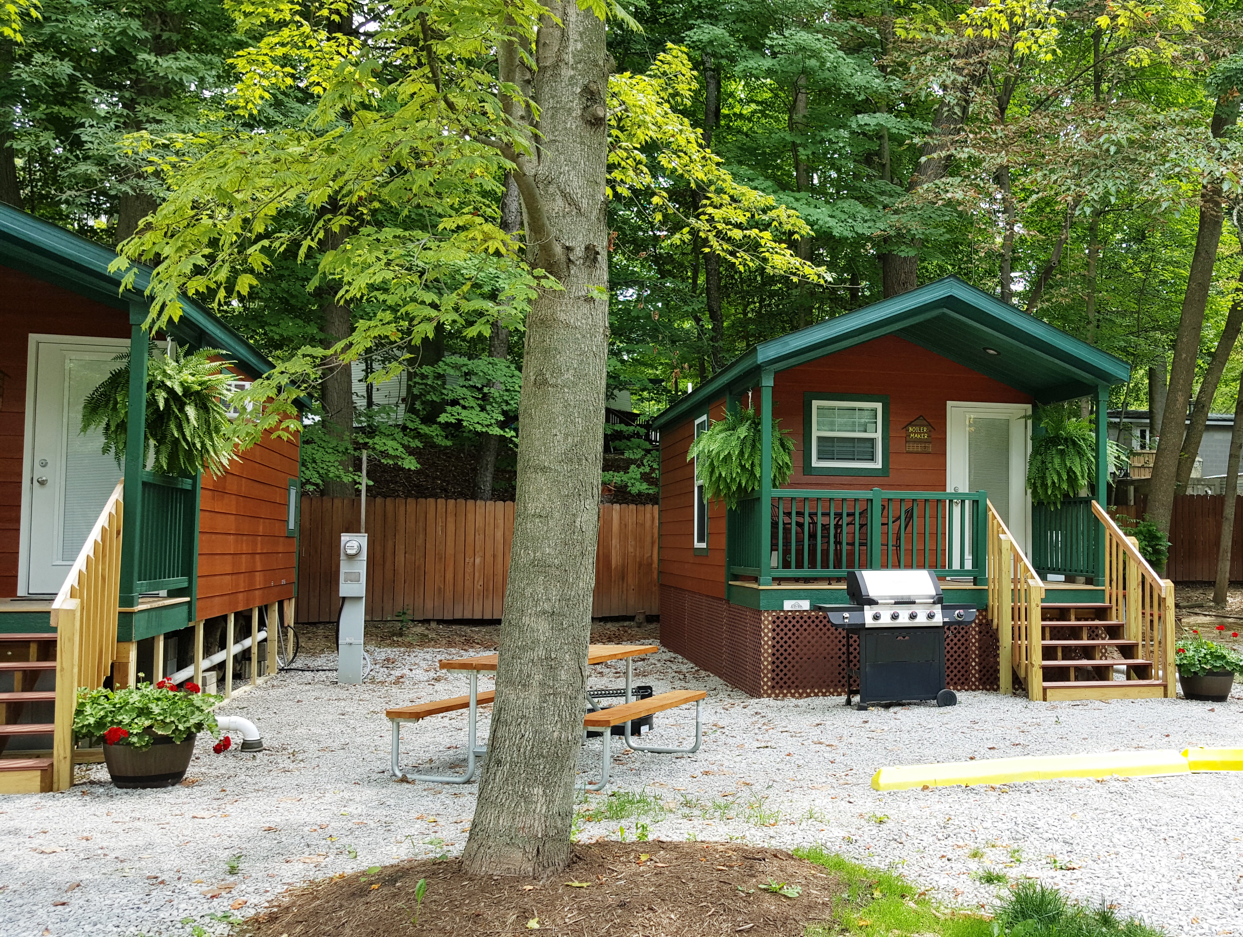 Boilermaker and Wildcat Deluxe Cabin