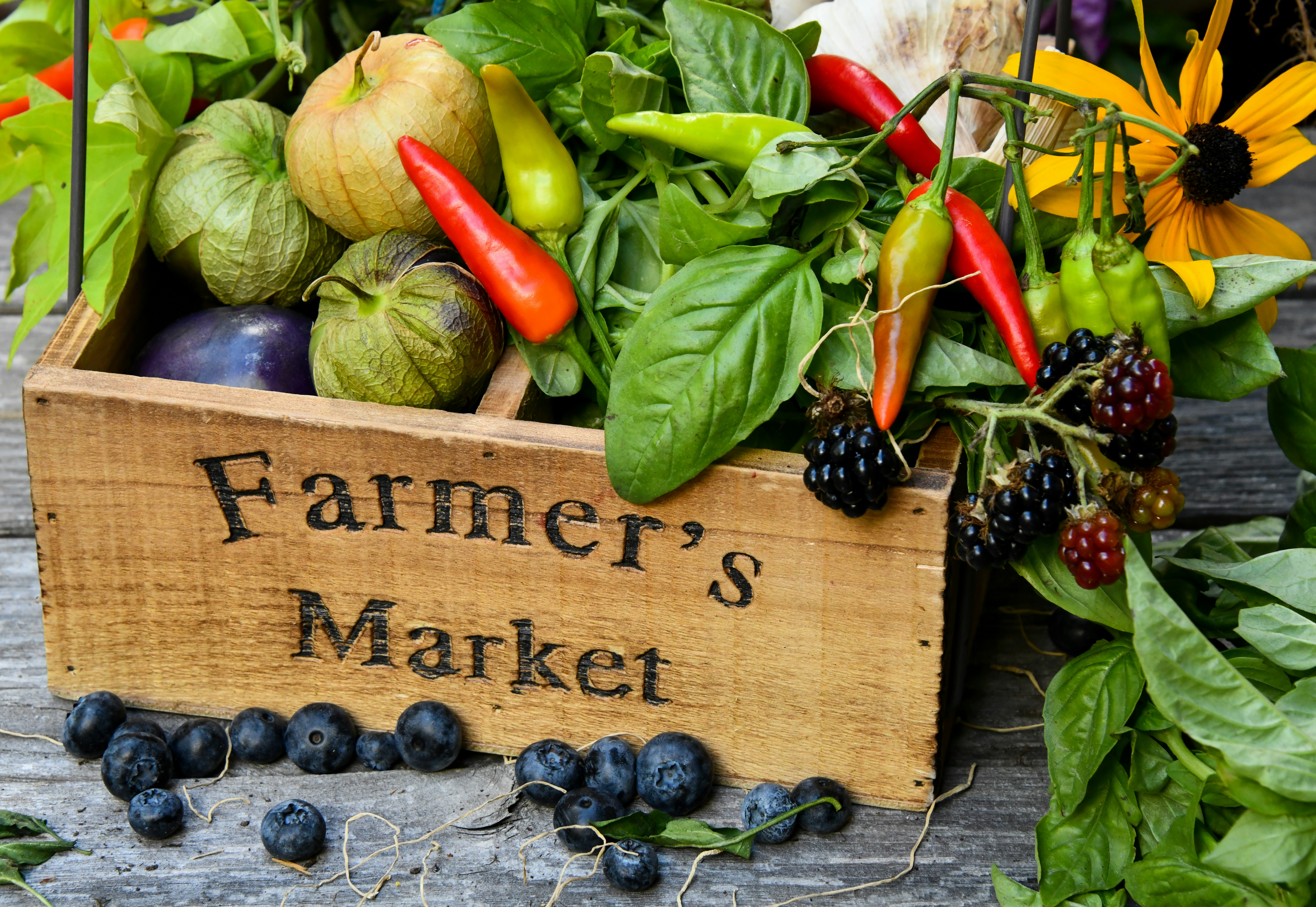 Landon's Greenhouse Farmers Market Photo