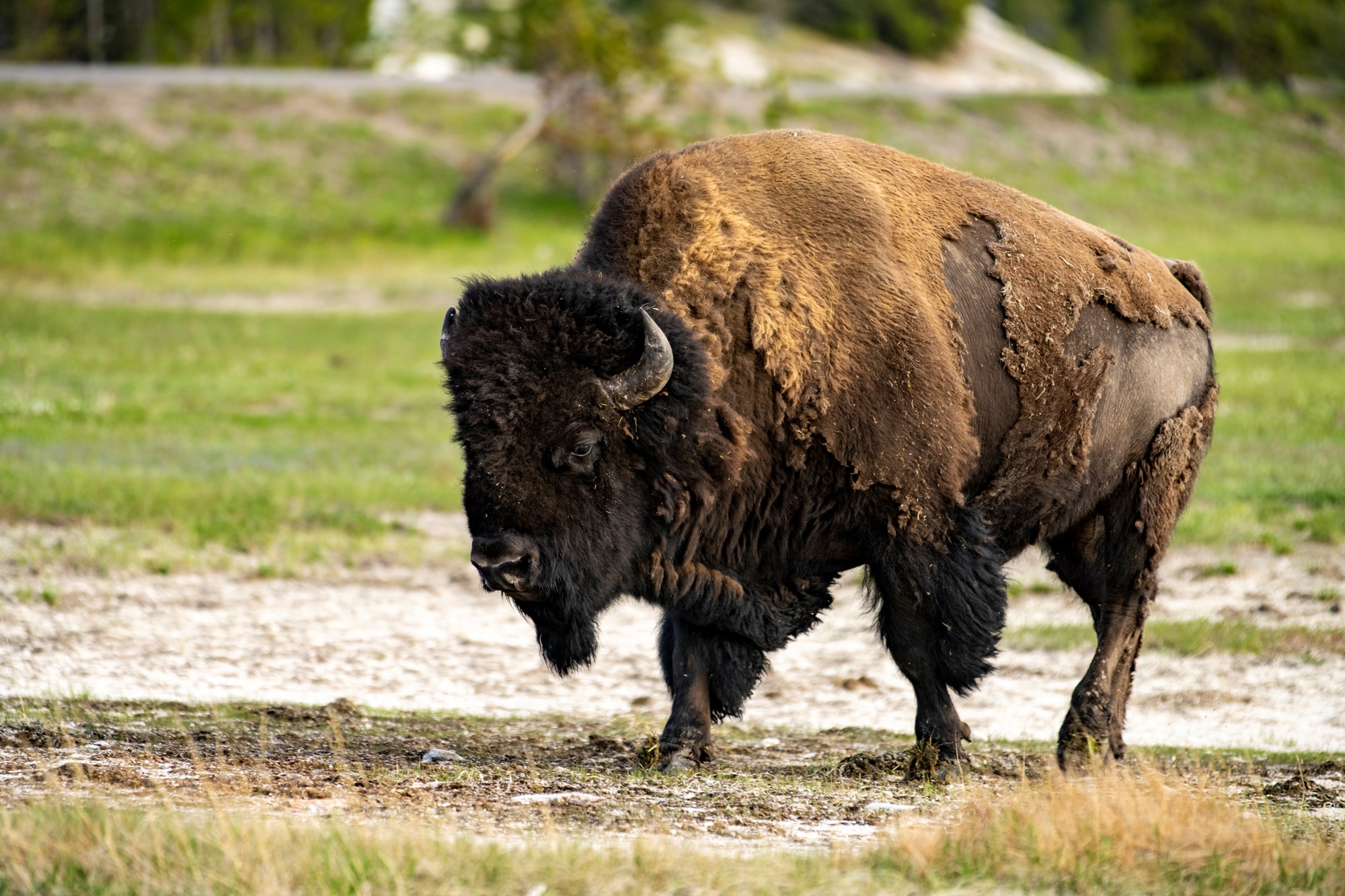 Campgrounds in Sheridan Sheridan/Big Horn Mountains KOA