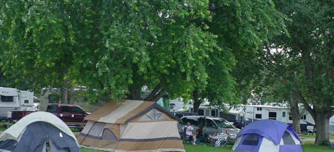 Grassy Tent Sites