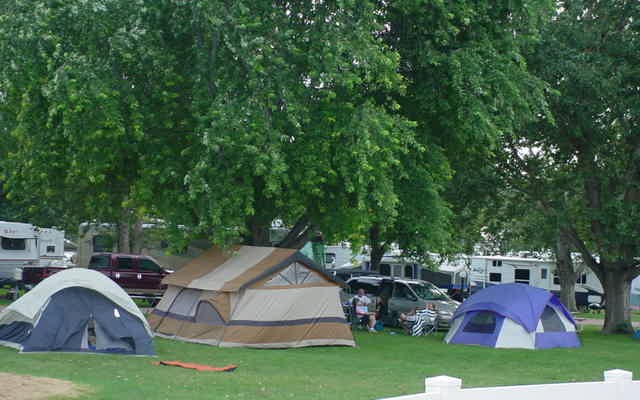 Grassy Tent Sites