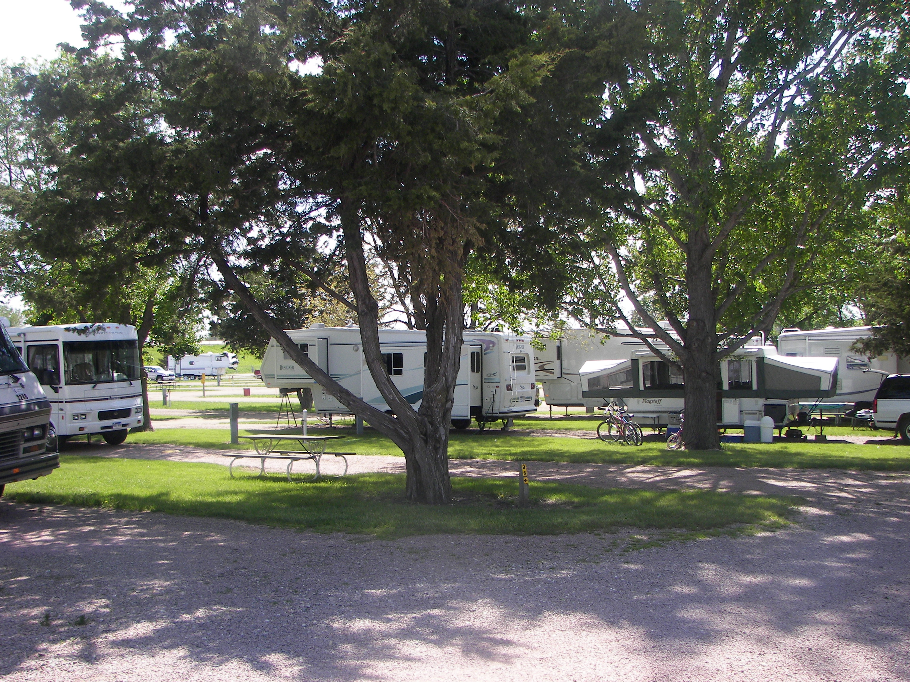 Shady Sites