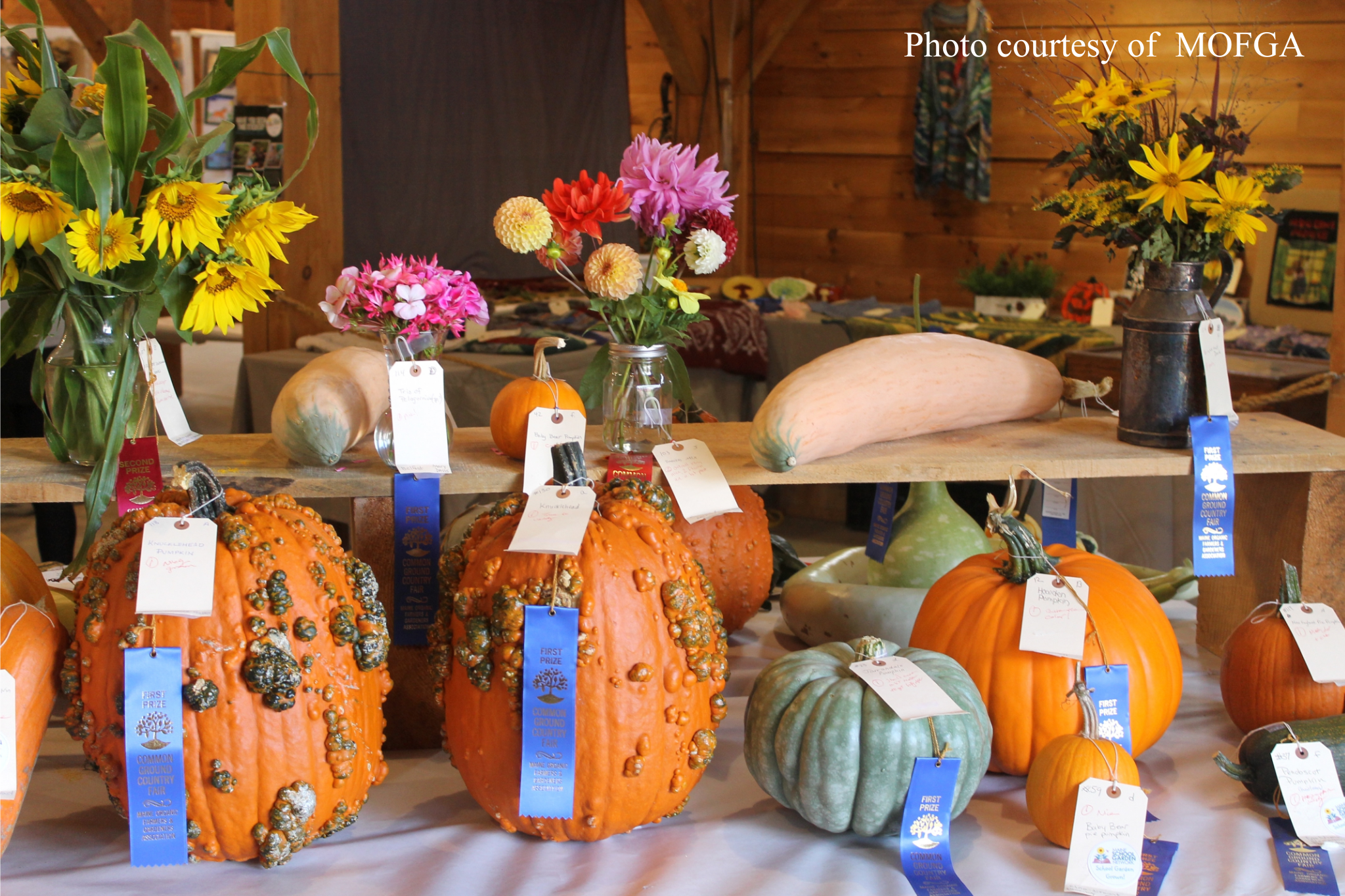 Common Ground Country Fair Photo