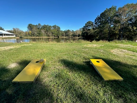 Corn Hole