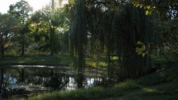 Fairview-Riverside State Park