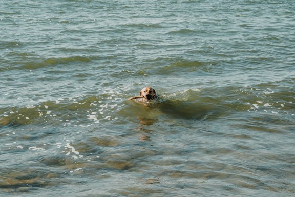 Northshore Beach Park