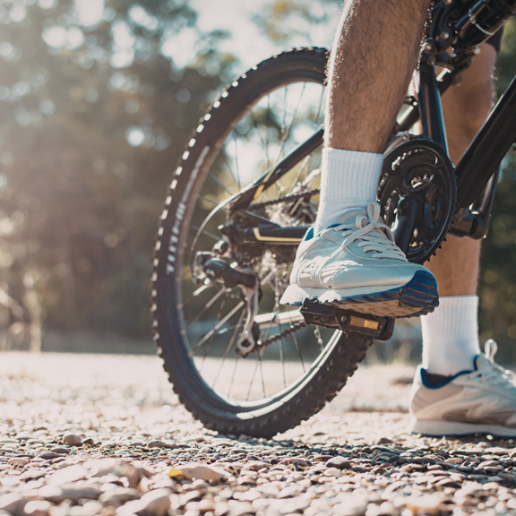 The Tammany Trace (Hike & Bike Trail)