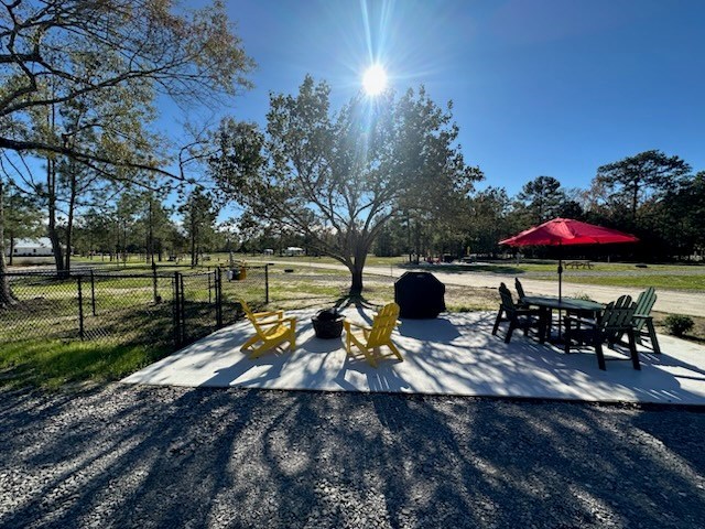 Springtime Adventures in Slidell