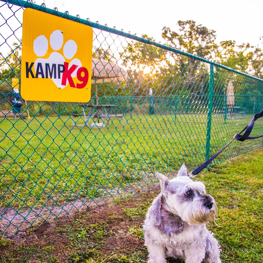 Discover the Dog-Friendly Delights of Slidell KOA