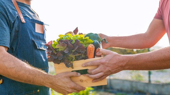 Farm Stands and Markets