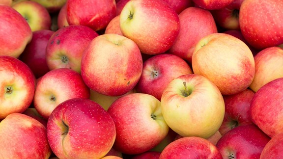 Youngman Orchard's Farm Market