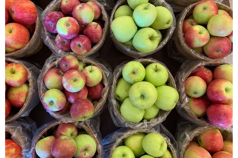 Wayne County Apple Tasting Tour Photo