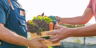 Sodus Farmer's Market