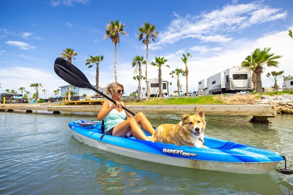Kayak Rentals