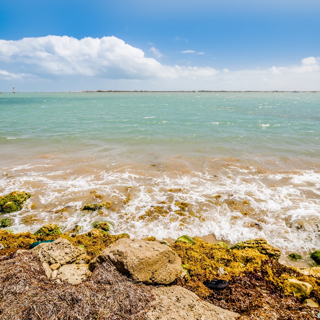 SPI Beachfront on a Budget? You Can Have Both