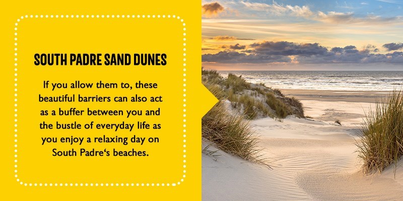 South Padre Sand Dunes