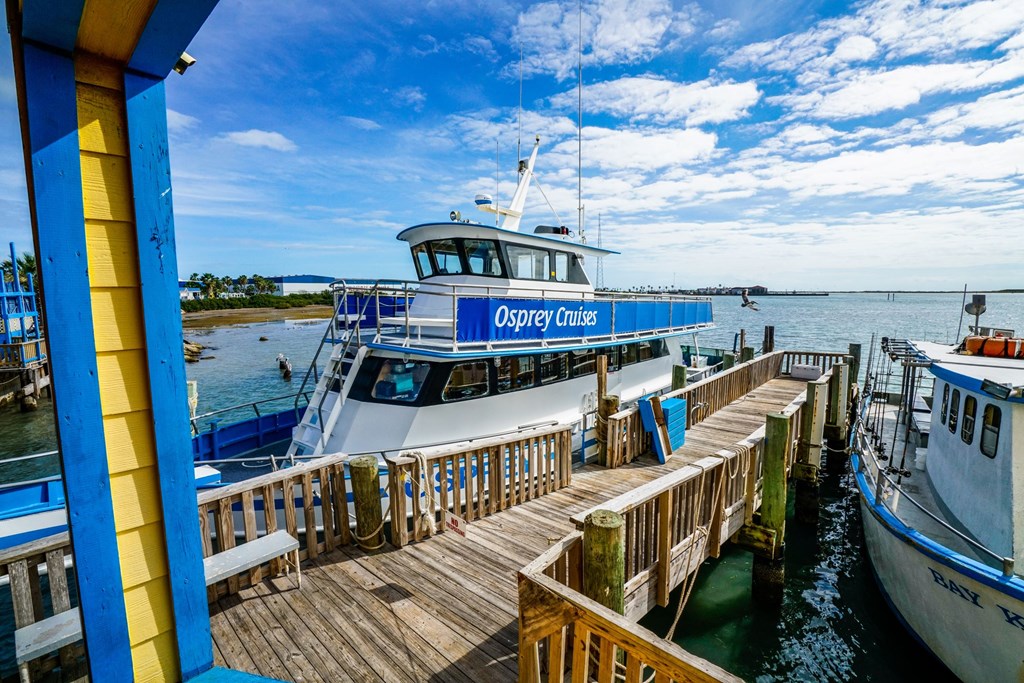 South Padre Island for dolphin watching