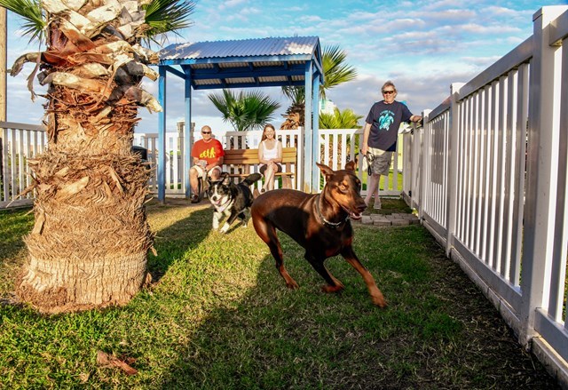 Your Guide to a Dog-Friendly Vacation in South Padre Island
