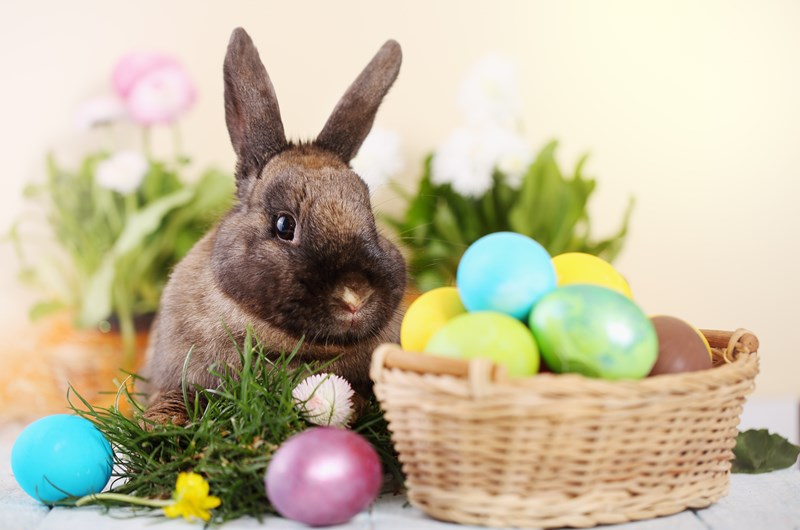 Easter Weekend Photo