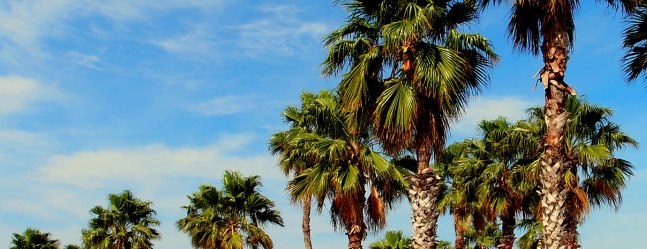 South Padre Island Texas Campground South Padre Island Koa