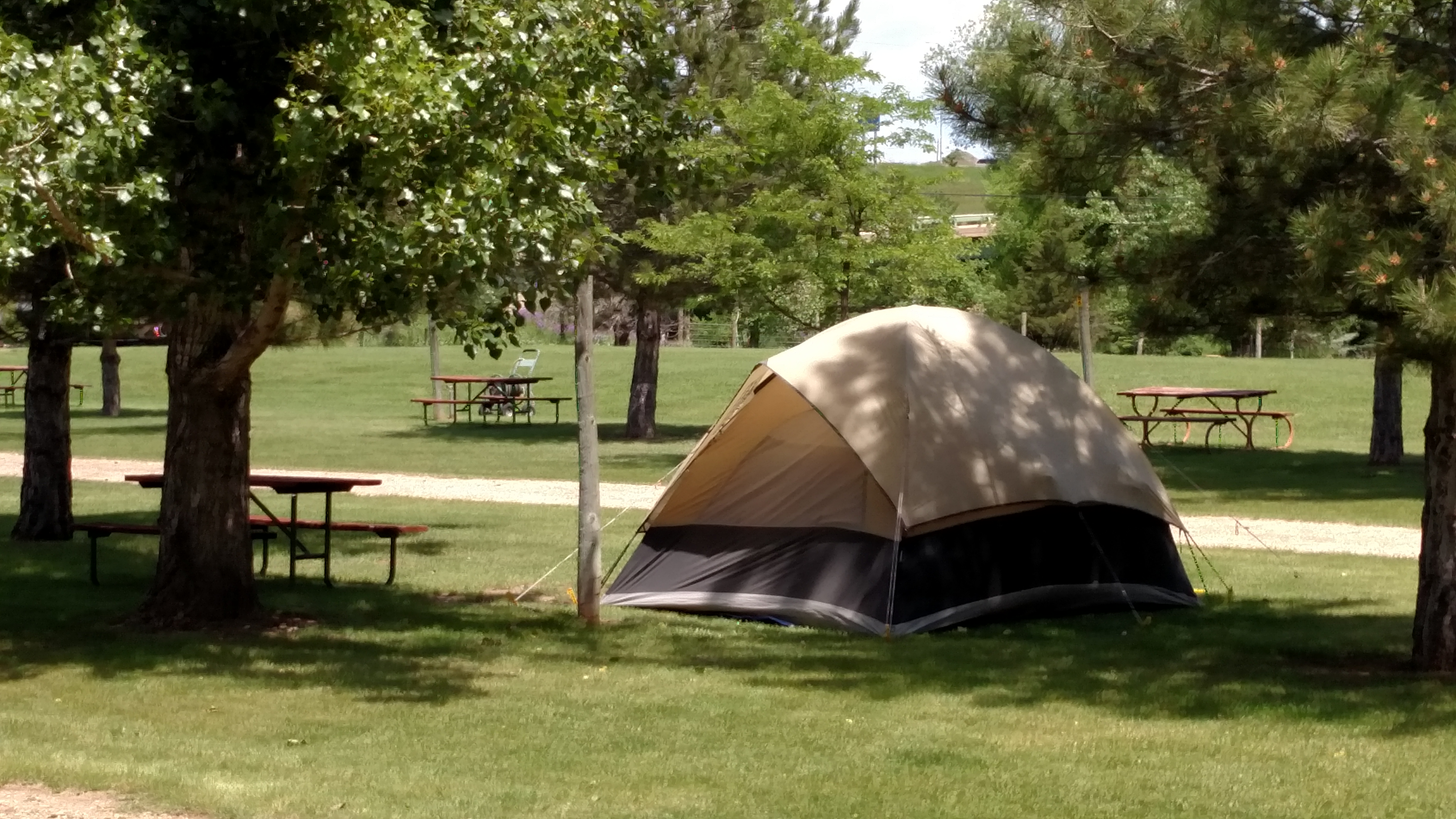 One of our spacious, grassy tent sites.