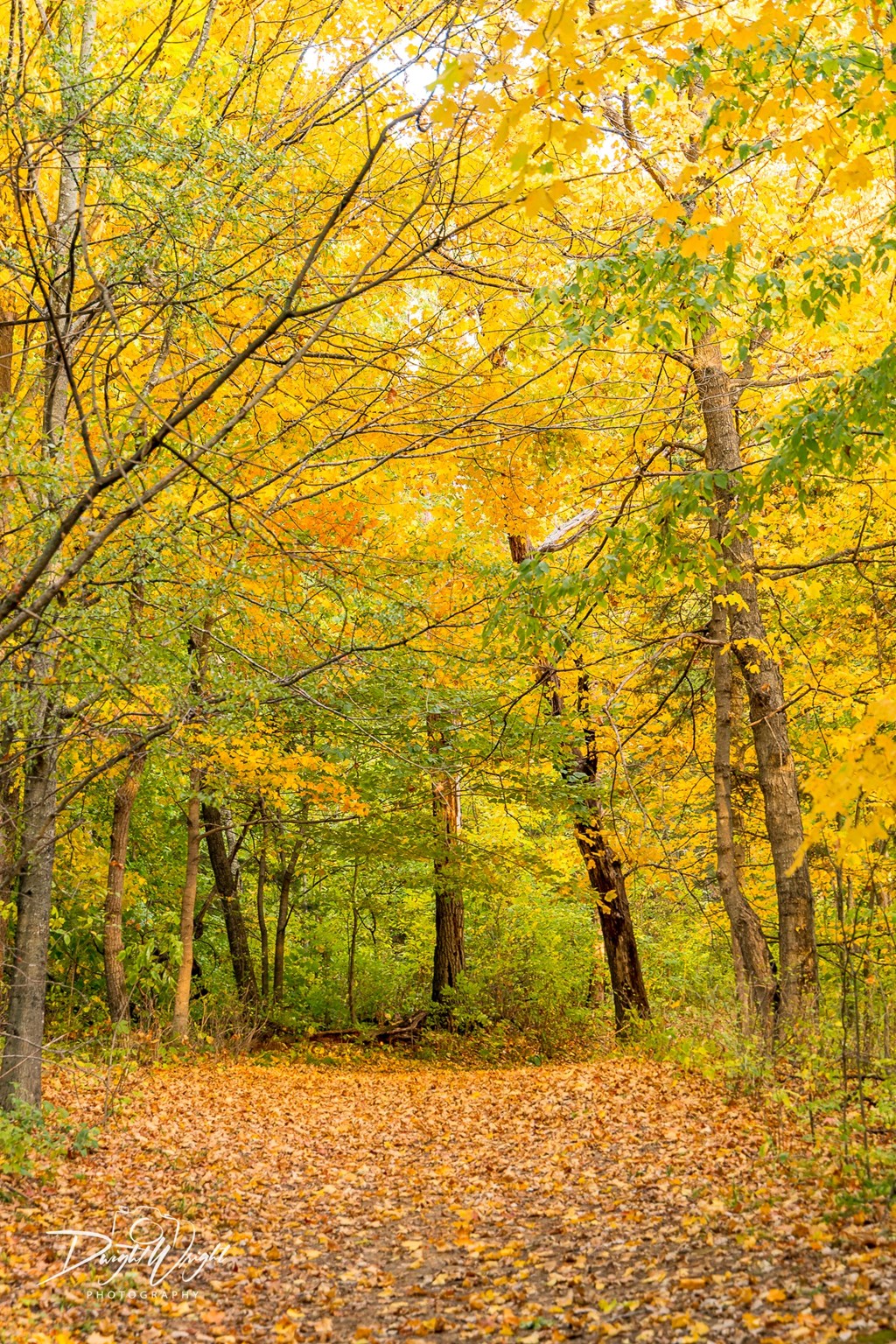November