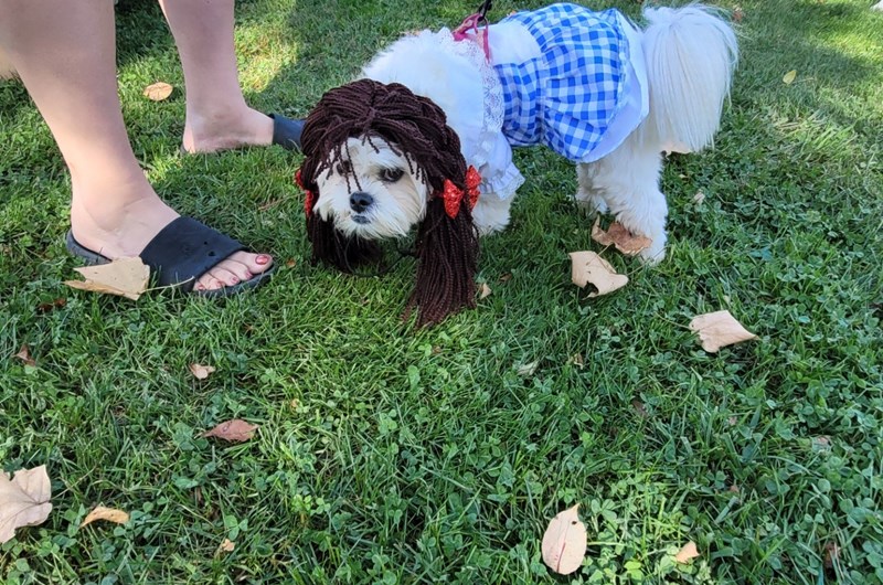 Halloween Weekend Photo
