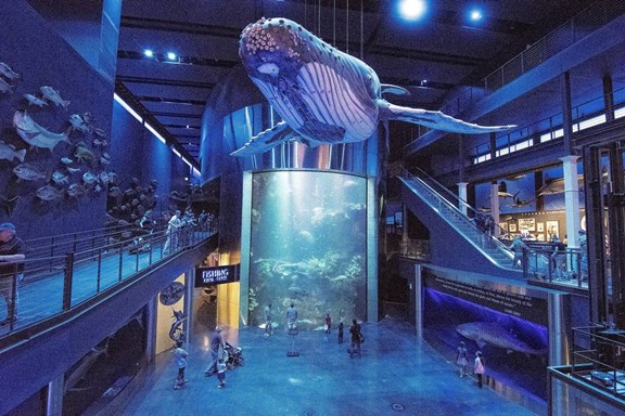Wonders of Wildlife National Museum and Aquarium