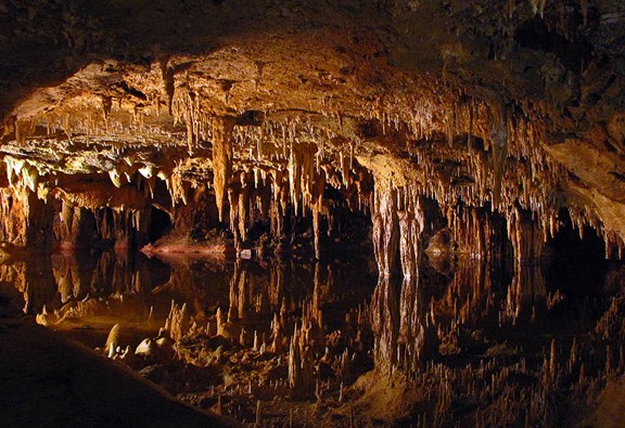 Fantastic Caverns