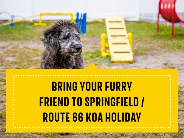 Dog-Friendly Things to Do in Springfield, Missouri | KOA