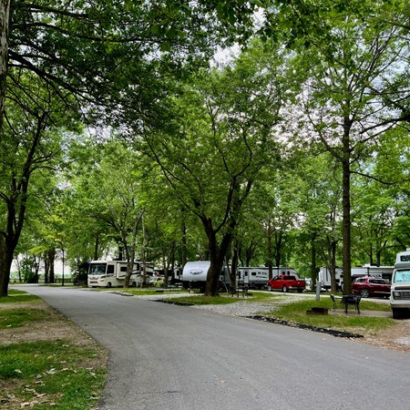 Springfield Mo Bass Pro Bass Camp Bassprogo - Main Image