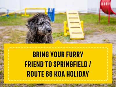 Bring your furry friend to Springfield/Route 66 KOA Holiday