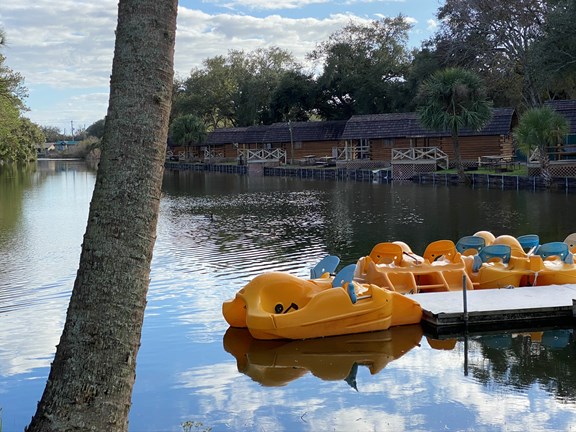 Paddle Boats