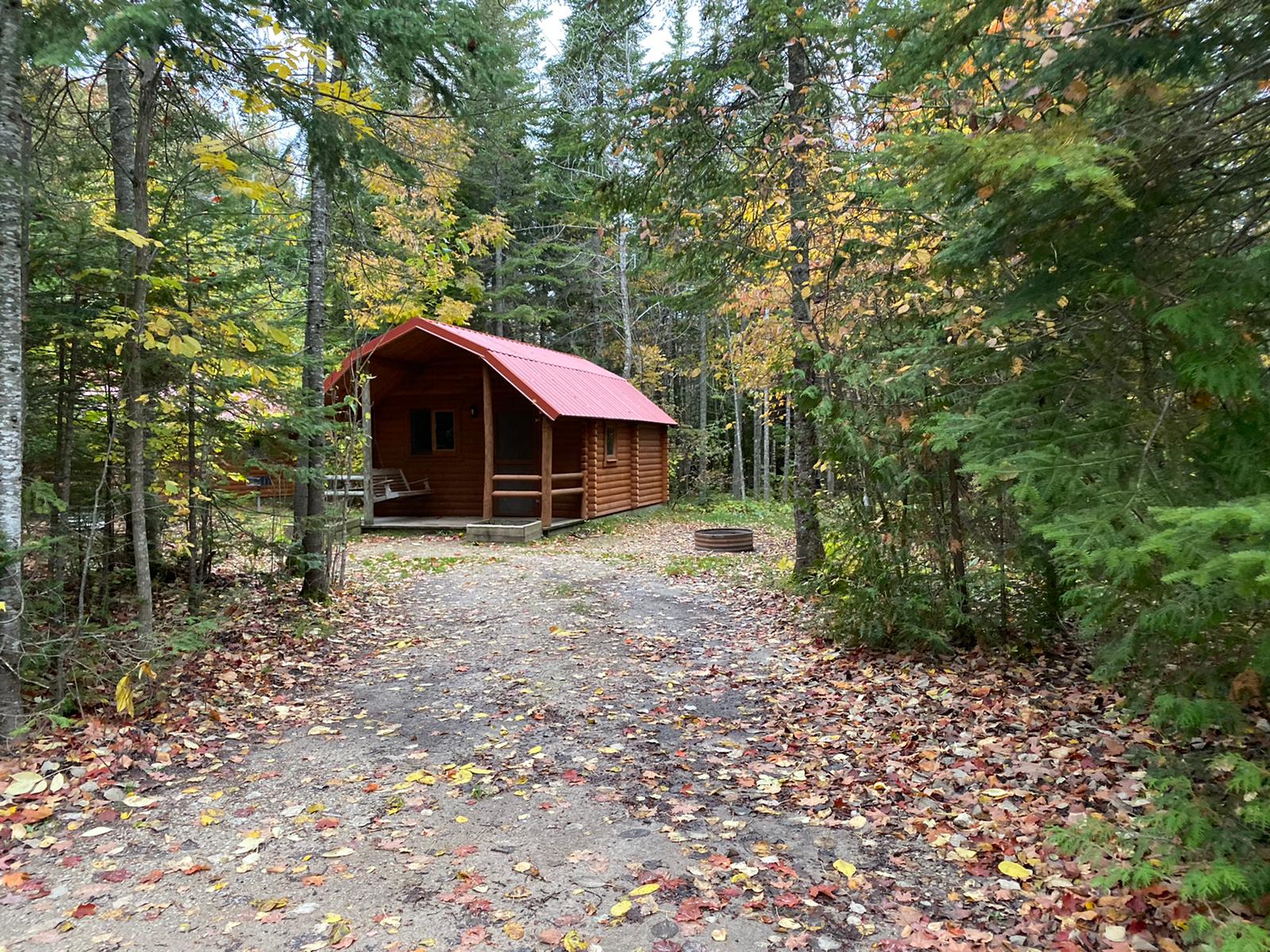 Camping cabin - Wooded