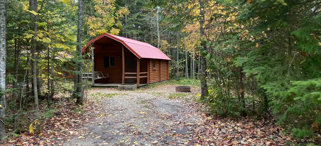 Camping cabin - Wooded