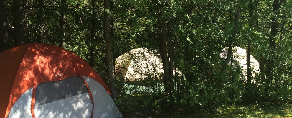 Beautiful wooded primitive tent sites