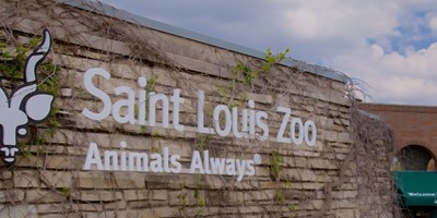 St. Louis Zoo