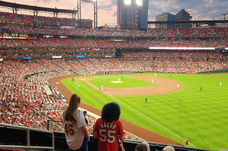 Cardinal Baseball Photo