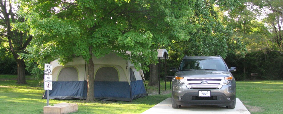Cutest little tent site