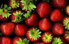 Strawberry Festival: Kimmswick, Missouri