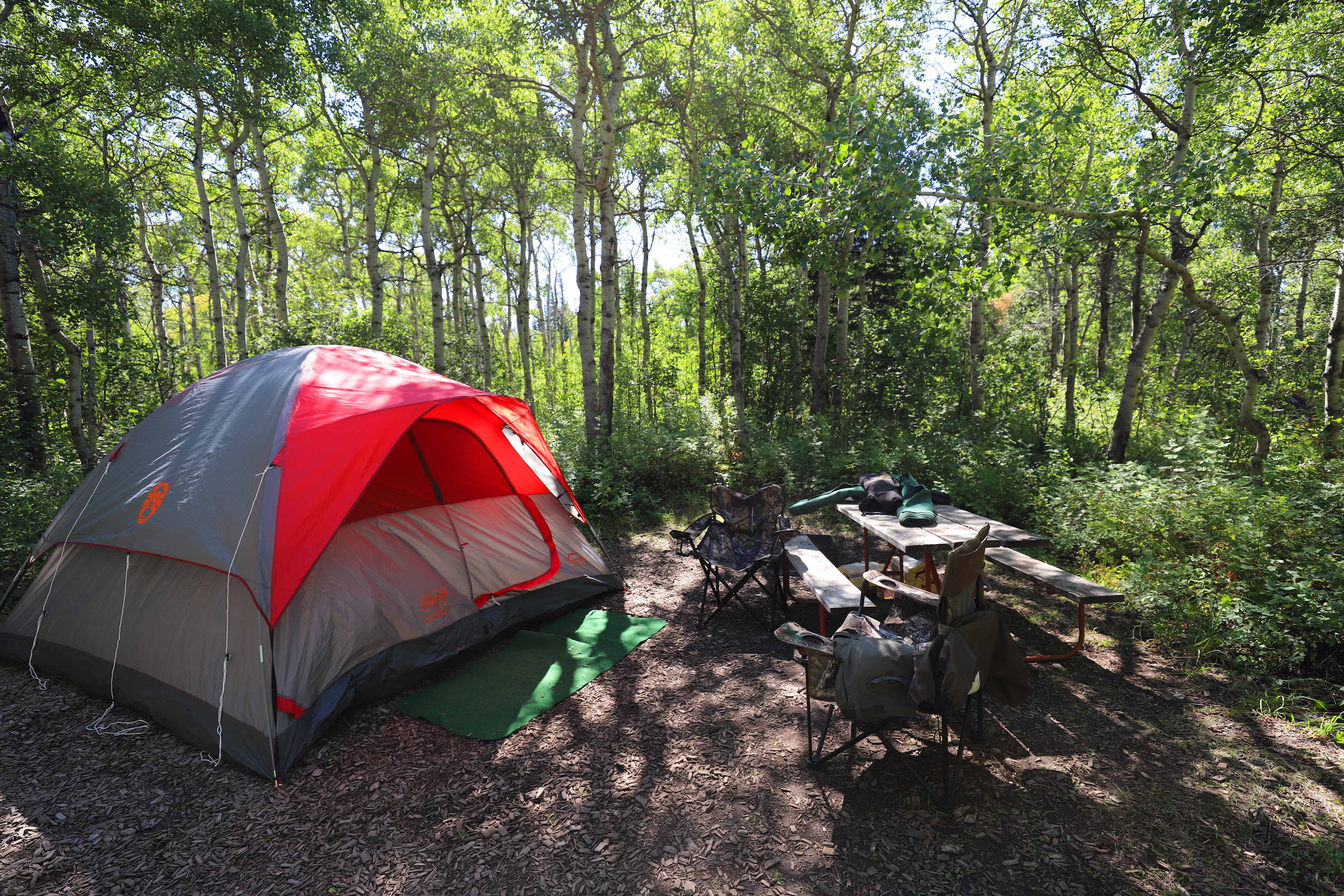 St Mary, Montana Tent Camping Sites St. Mary / East Glacier KOA Holiday
