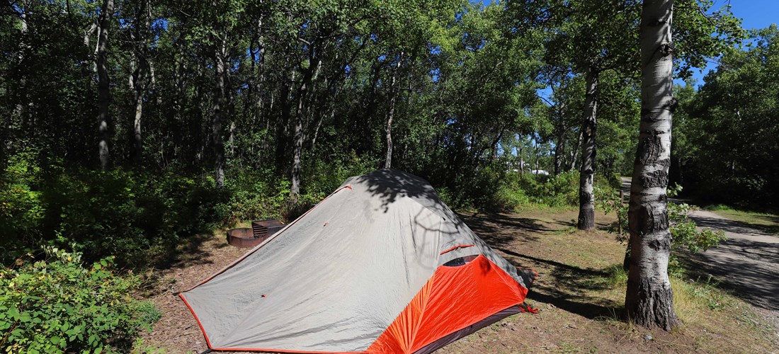 standard tent site