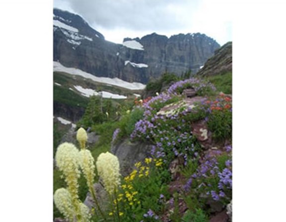 The trailhead for this scenic hike is just minutes from St. Mary KOA.  Pack a lunch, your camera and get ready to see the unspoiled beauty of Glacier National Park.