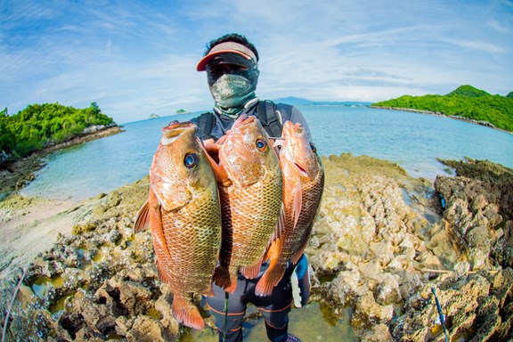 Deep Color Fishing