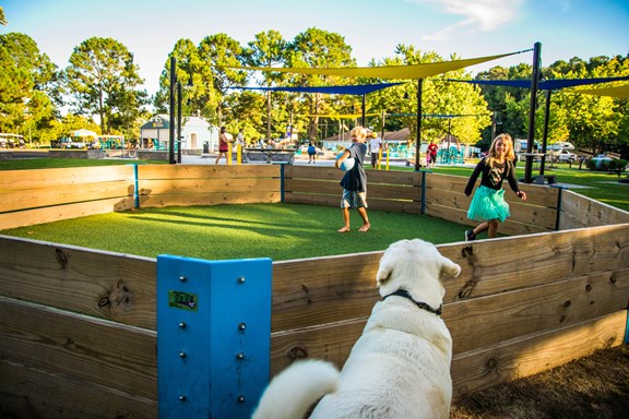 Gaga Ball