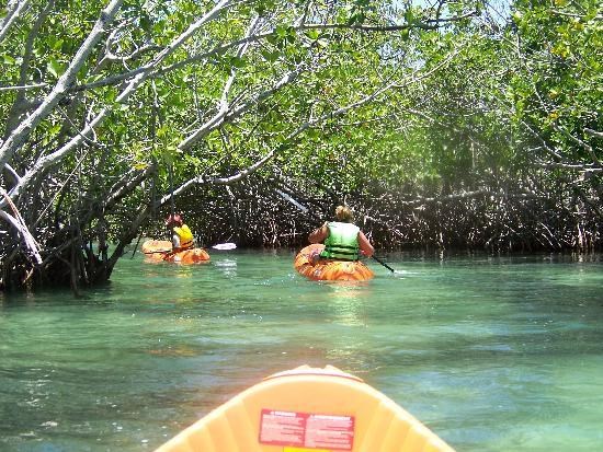 Kayaks