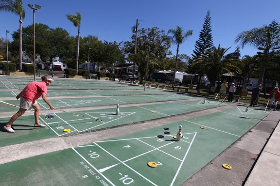 Shuffleboard