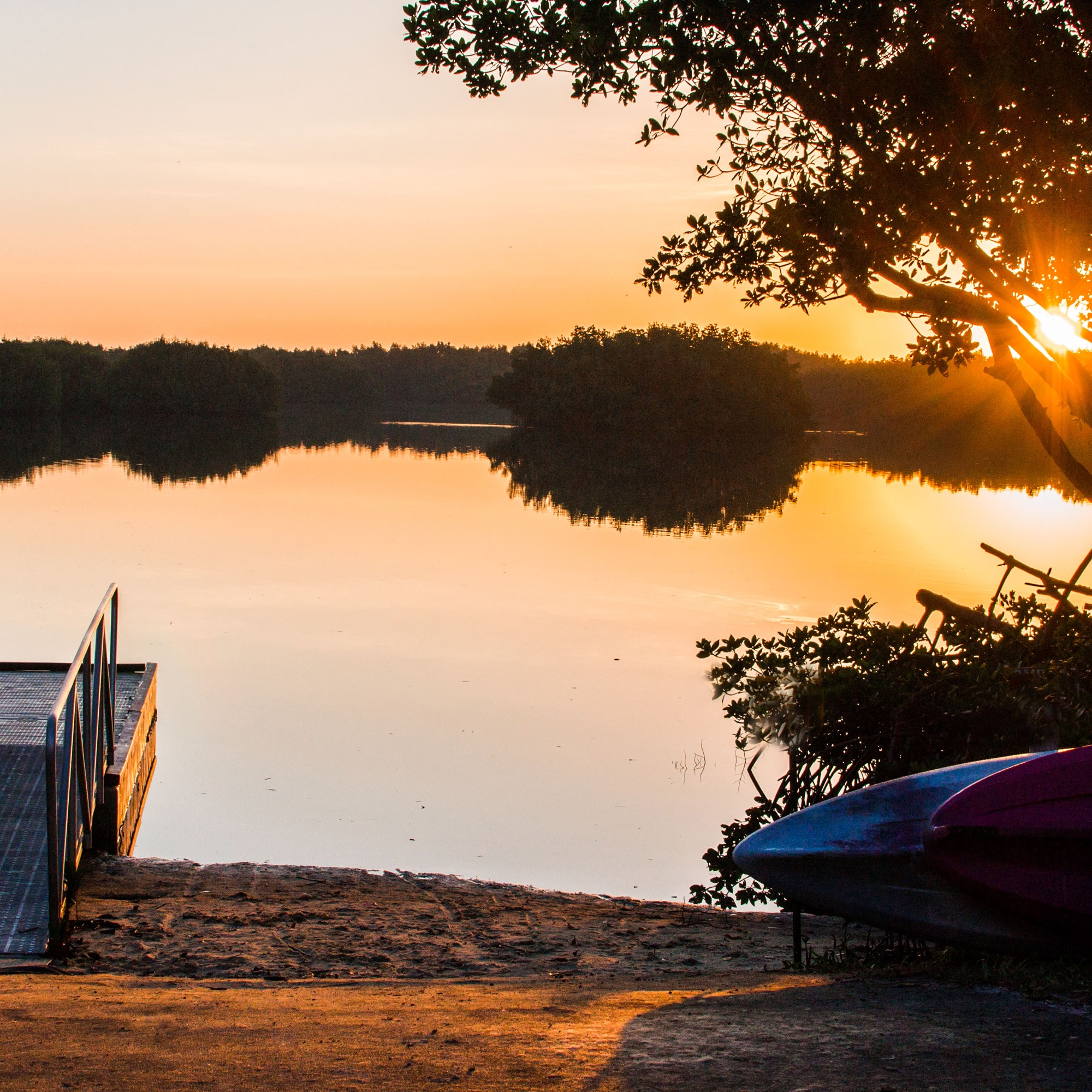 St. Petersburg, Florida Camping Photo Albums St. Petersburg / Madeira